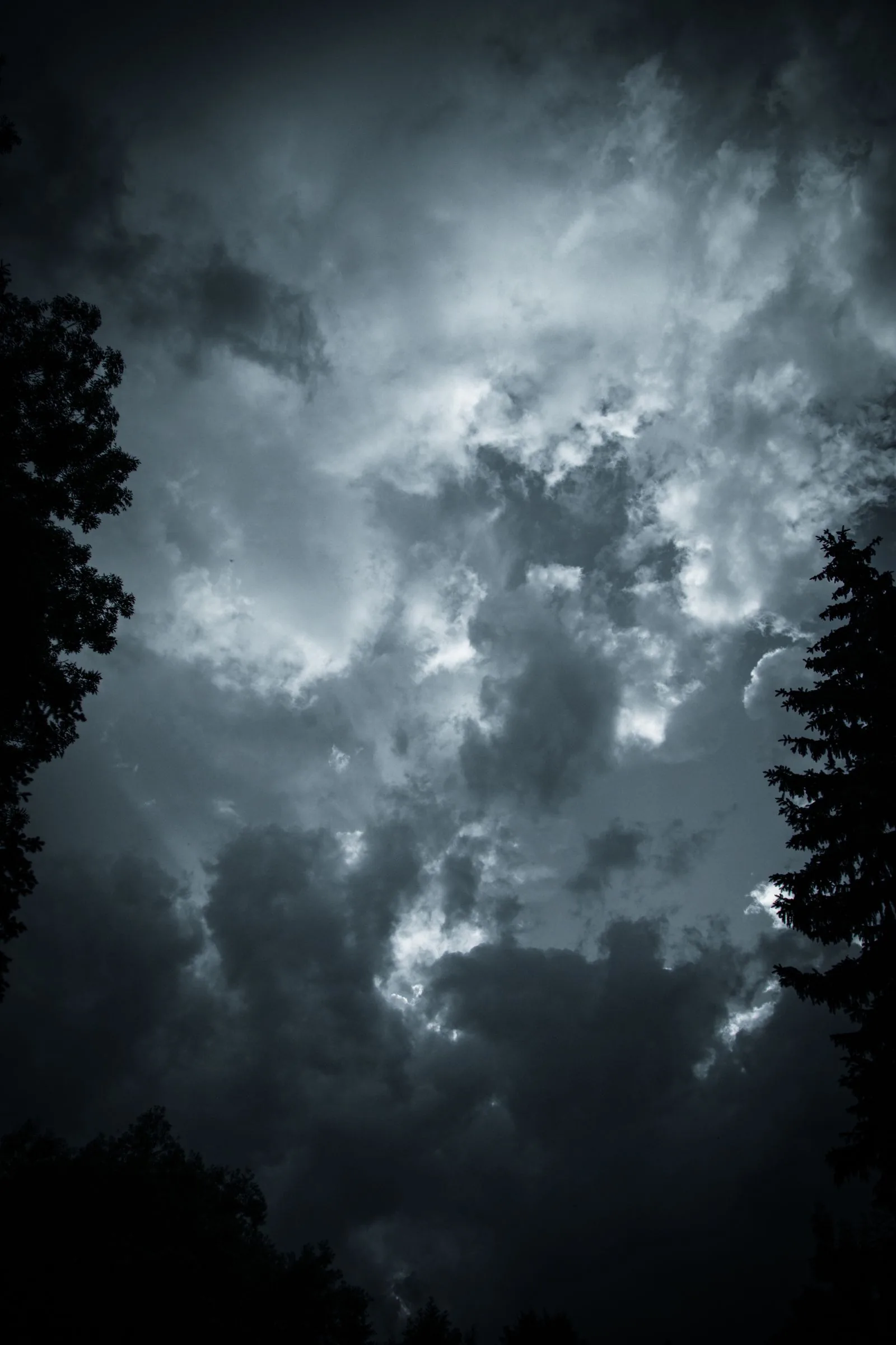 Dunkle Unwetterwolken über Bäumen – Symbolaufnahme